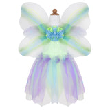 Butterfly Dress with Wings and Wand