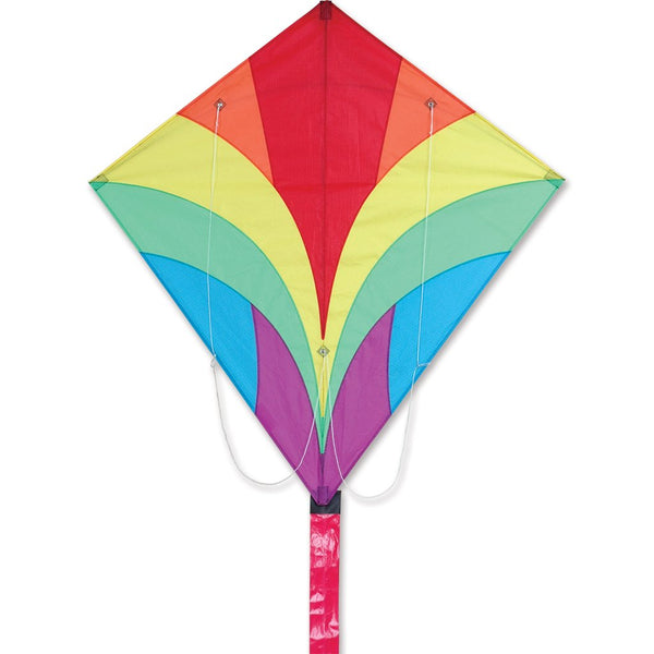 Rainbow Ace Sport Kite