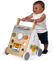 Sweet Cocoon Multi-Activity Baby Walker