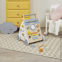 Sweet Cocoon Multi-Activity Baby Walker